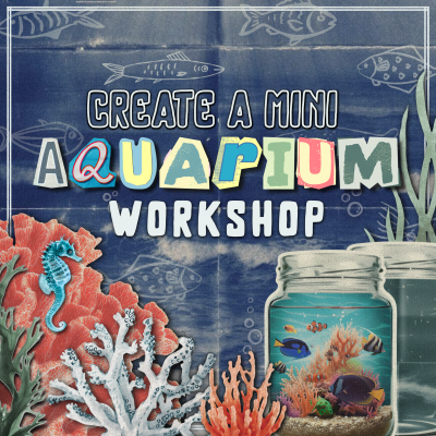 Create a Mini Aquarium
